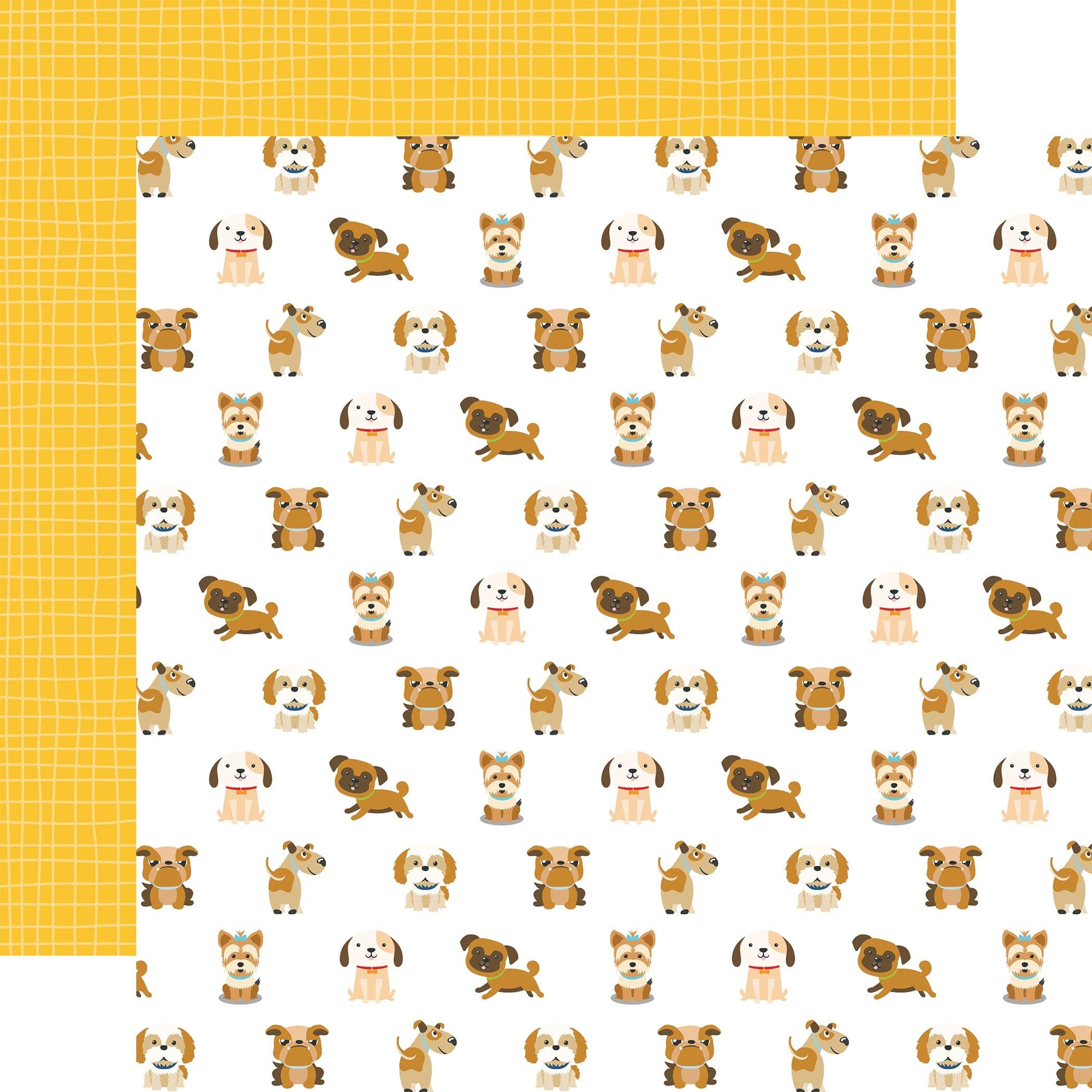 Pets Collection Puppy Pals 12 x 12 Double-Sided Scrapbook Paper by Echo Park Paper 