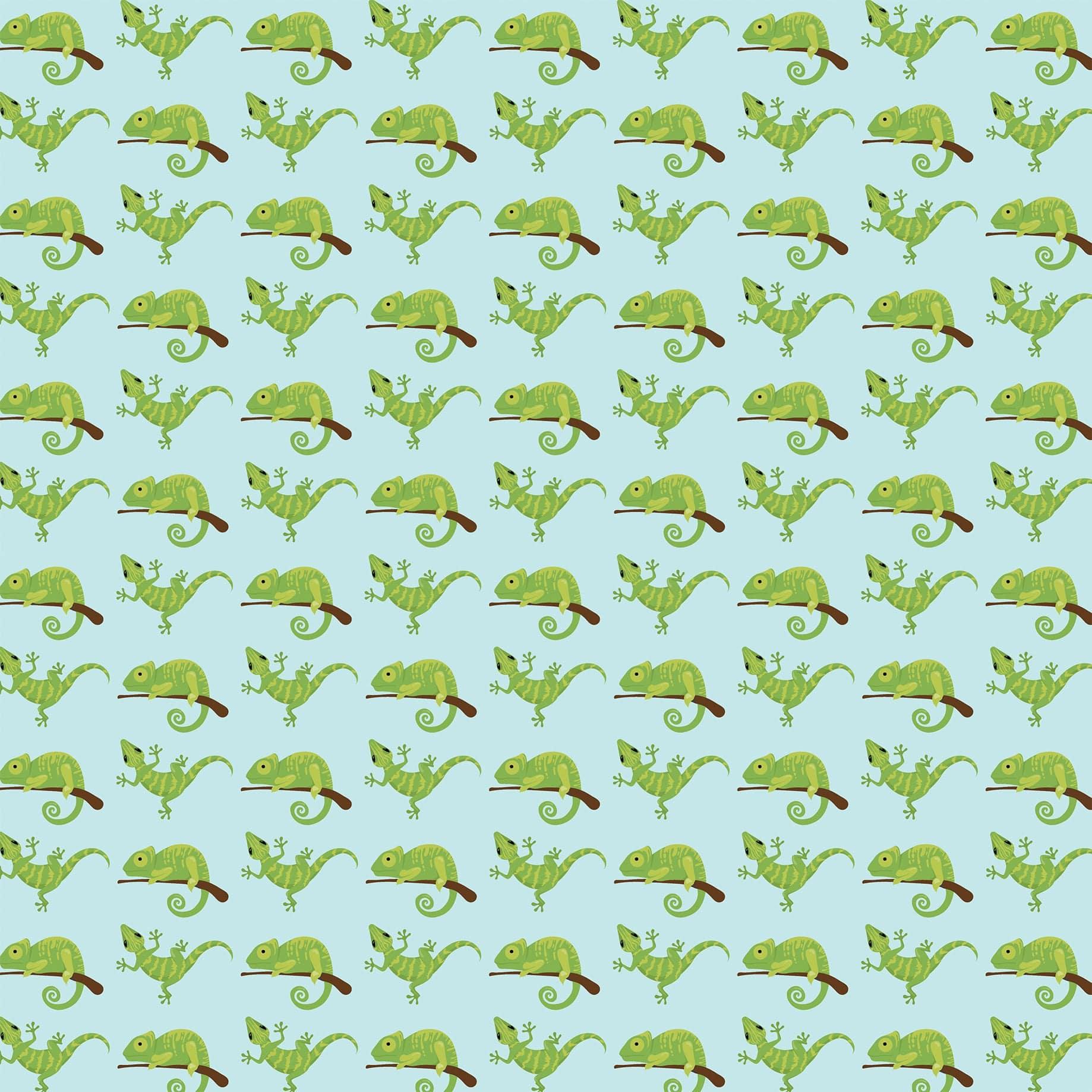 Pets Collection Lounging Lizard 12 x 12 Double-Sided Scrapbook Paper by Echo Park Paper - Scrapbook Supply Companies