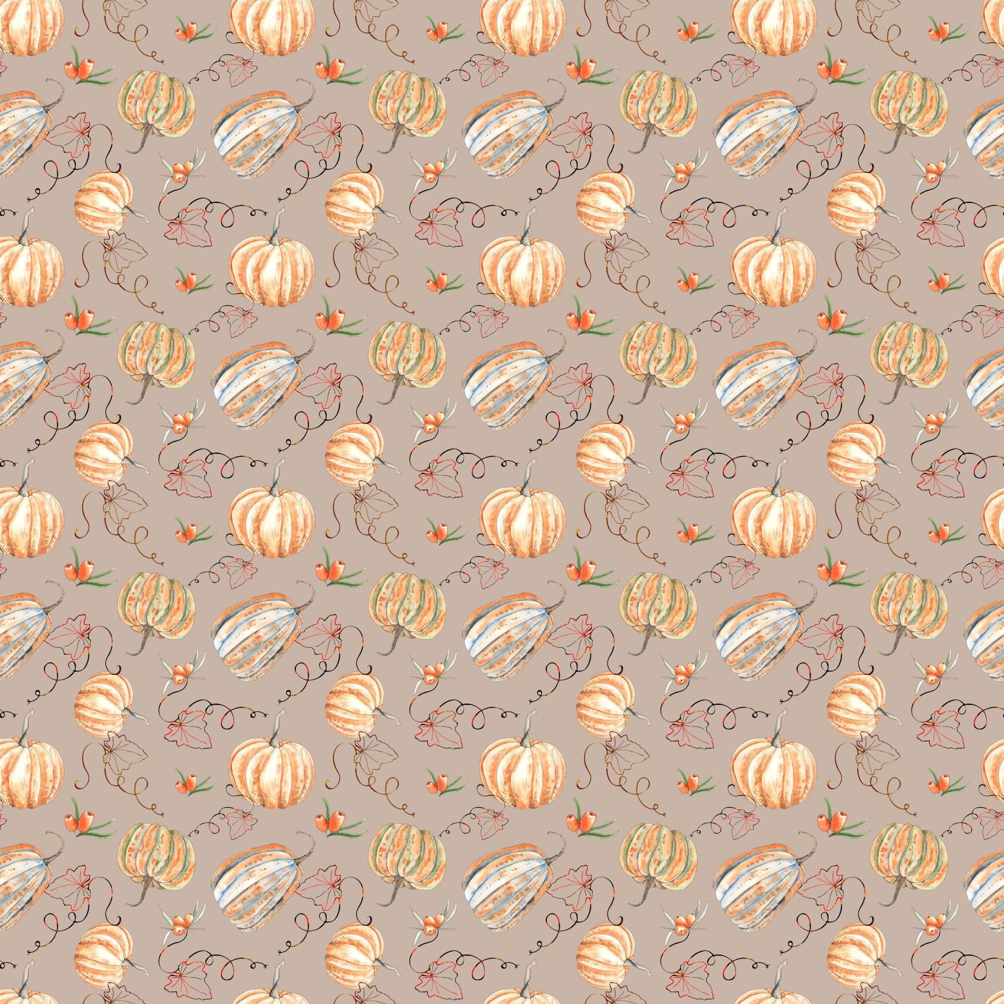 Pumpkin Patch Collection Pretty Pumpkins 12 x 12 Double-Sided Scrapbook Paper by SSC Designs - Scrapbook Supply Companies