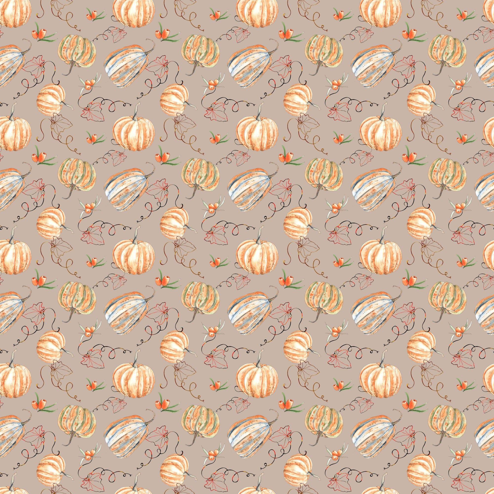 Pumpkin Patch Collection Pretty Pumpkins 12 x 12 Double-Sided Scrapbook Paper by SSC Designs - Scrapbook Supply Companies