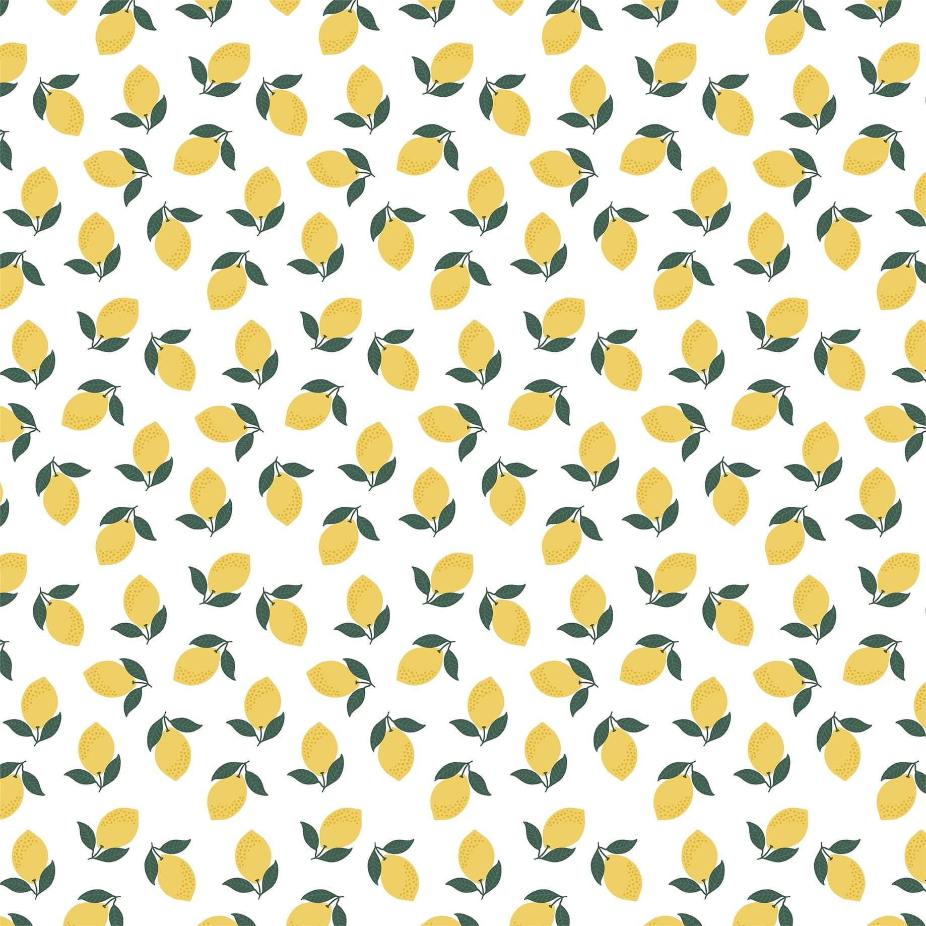 Pool Party Collection Make Lemonade 12 x 12 Double-Sided Scrapbook Paper by Echo Park Paper - Scrapbook Supply Companies