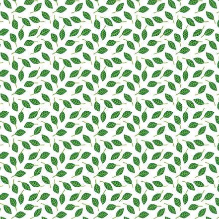 Summer Adventure Collection 4 x 4 Journaling Cards 12 x 12 Double-Sided Scrapbook Paper by Echo Park Paper - Scrapbook Supply Companies