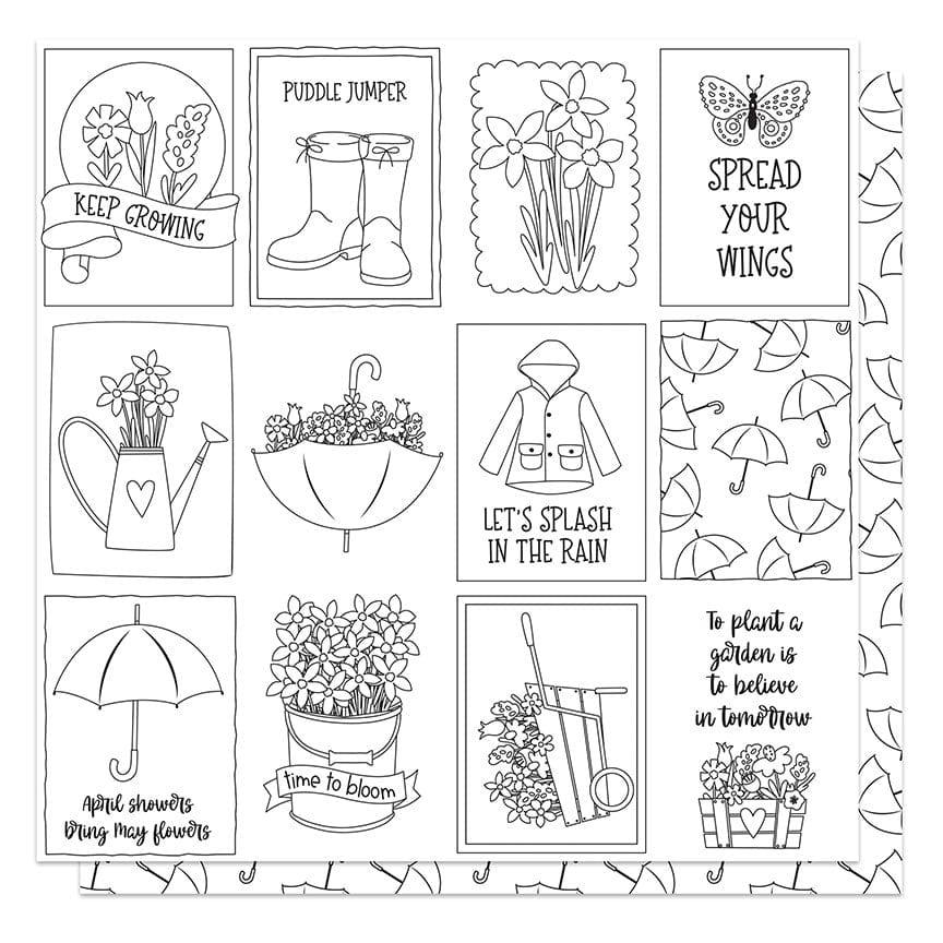 Showers and Flowers Collection Color Me 12 x 12 Double-Sided Scrapbook Paper by Photo Play Paper