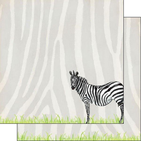 African Safari Collection Zebra 12 x 12 Double-Sided Scrapbook Paper by Scrapbook Customs - Scrapbook Supply Companies