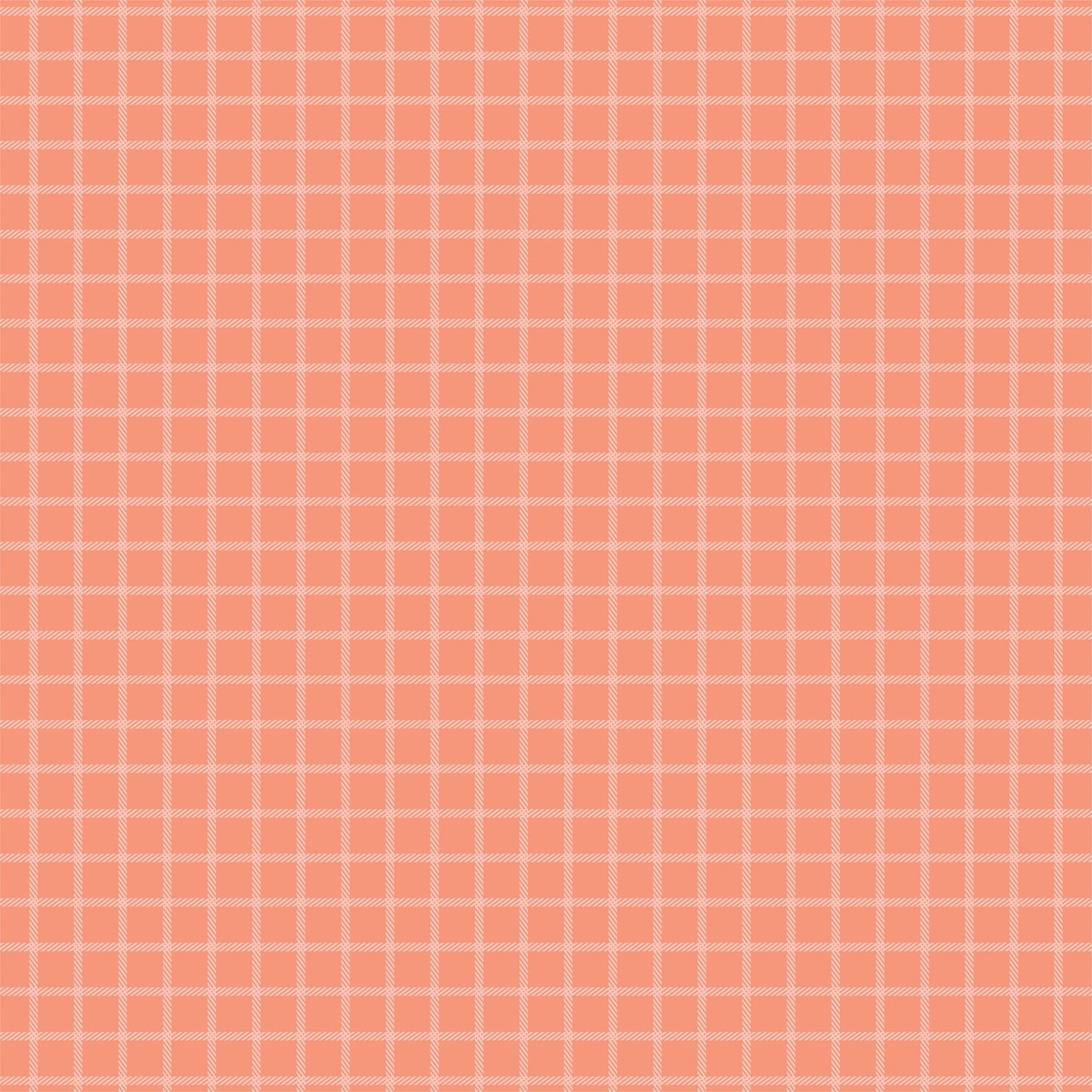 Sun Kissed Collection Cool Treats 12 x 12 Double-Sided Scrapbook Paper by Echo Park Paper - Scrapbook Supply Companies
