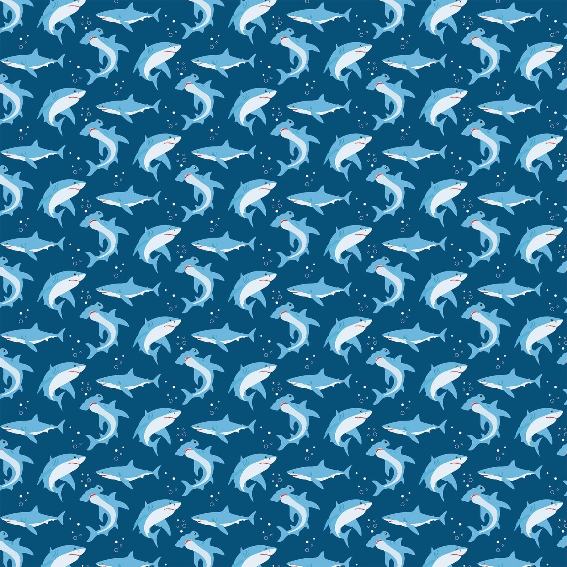Sea Life Collection Shark Attack 12 x 12 Double-Sided Scrapbook Paper by Echo Park Paper - Scrapbook Supply Companies