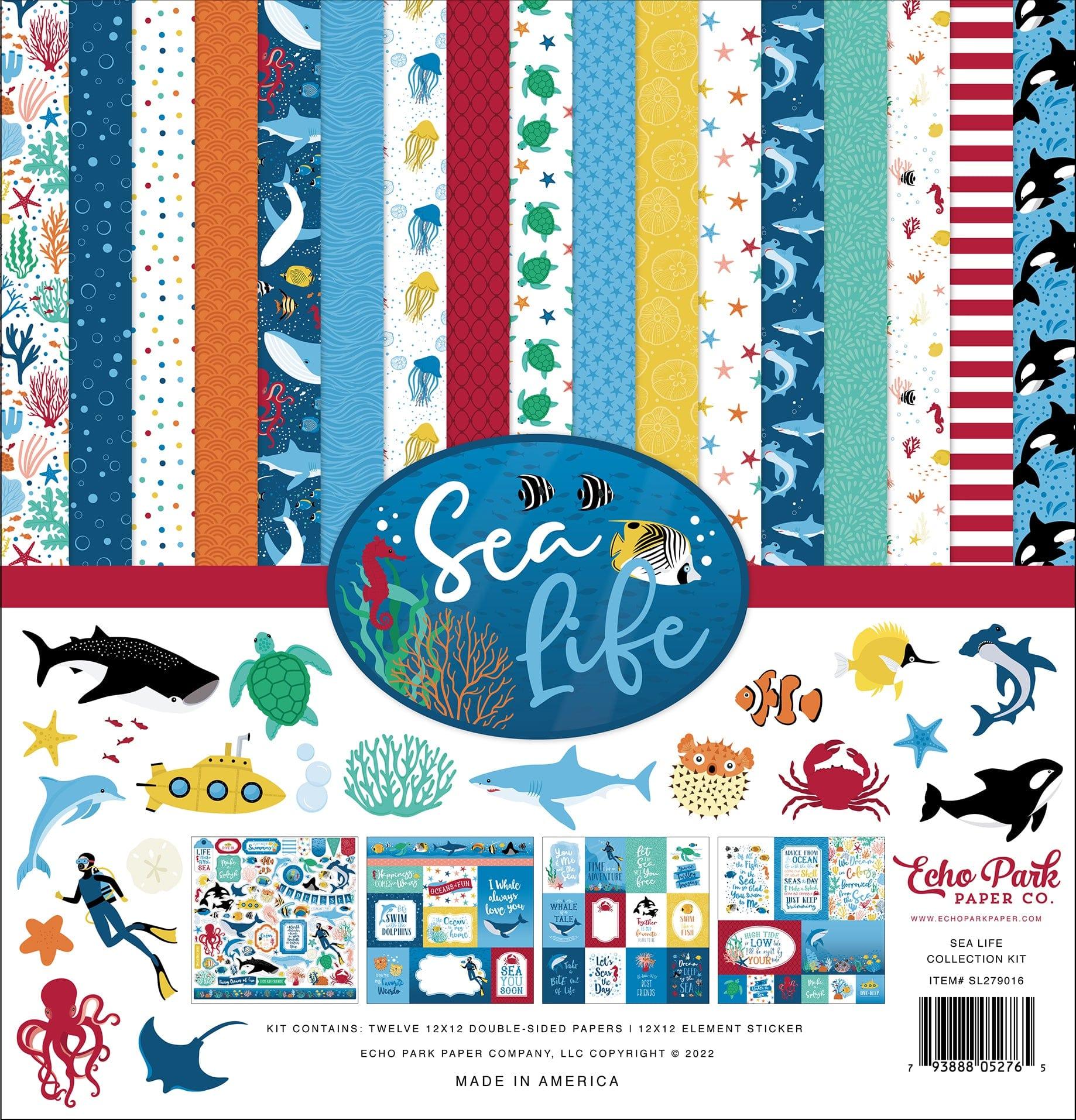 Sea Life Collection 12 x 12 Scrapbook Paper & Sticker Pack by Echo Park Paper - Scrapbook Supply Companies