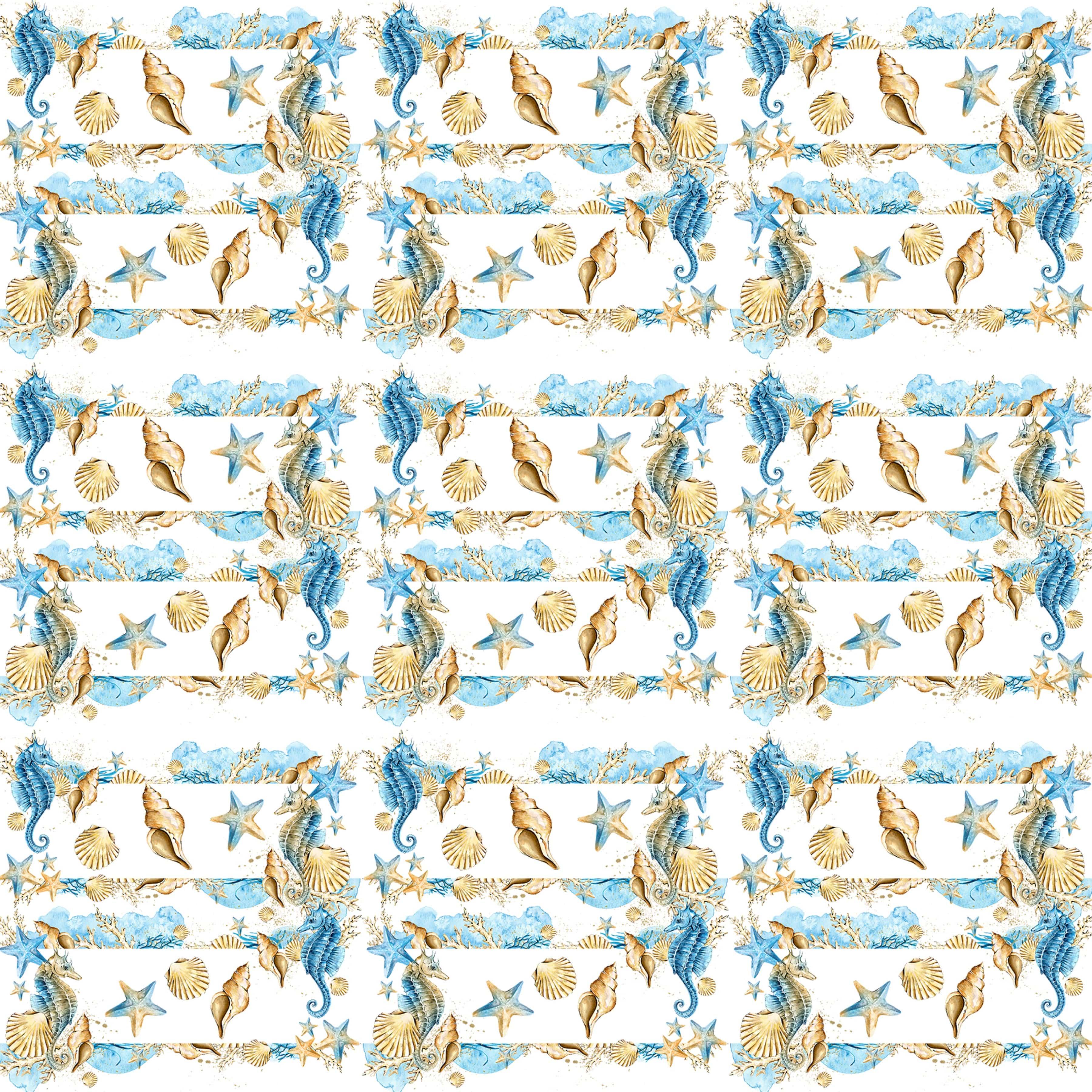 Frou Frou's Sun & Sand Collection Sea Shells In a Row 12 x 12 Double-Sided Scrapbook Paper by SSC Designs - Scrapbook Supply Companies