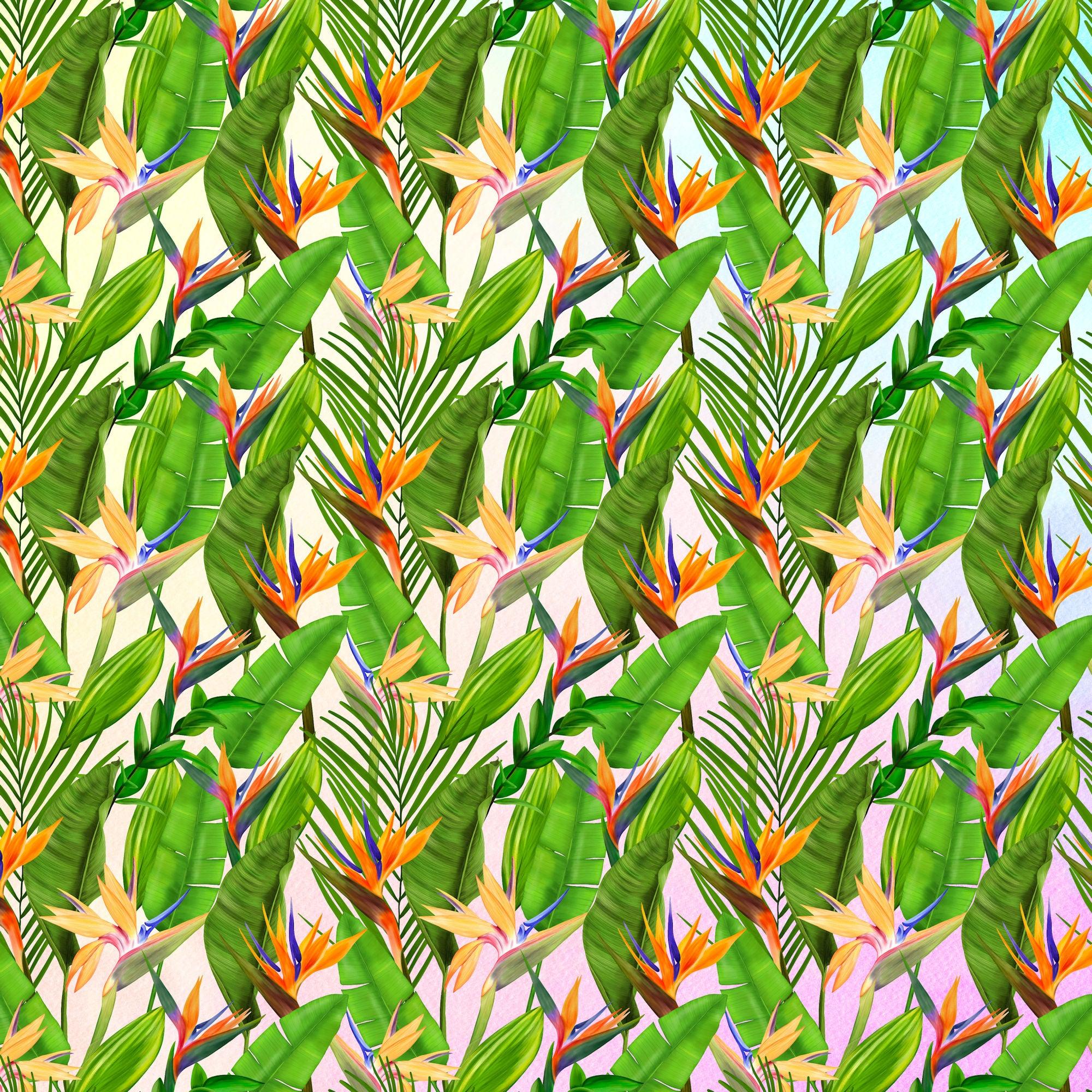 Exotic Tropics Collection Oahu 12 x 12 Double-Sided Scrapbook Paper by SSC Designs - Scrapbook Supply Companies