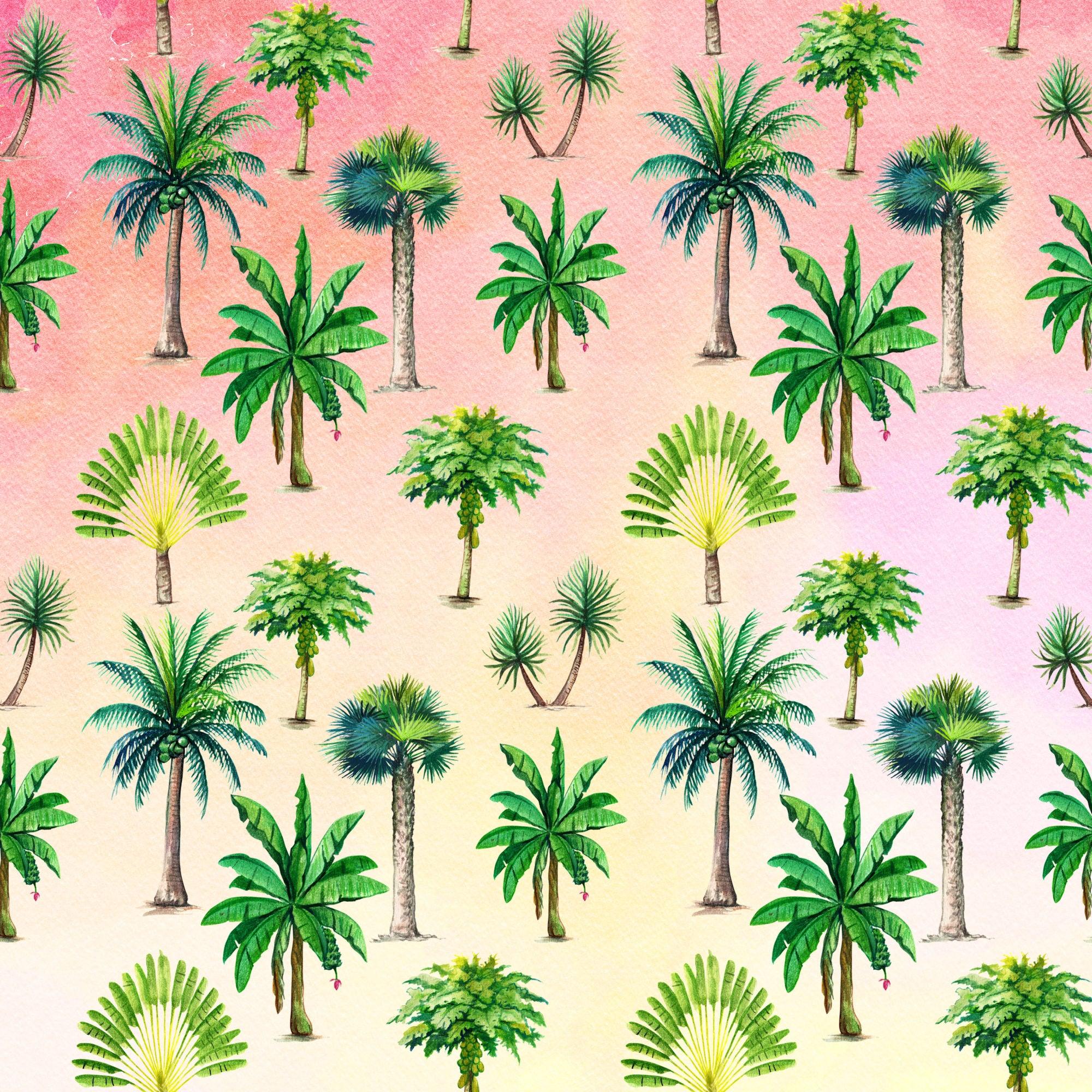 Exotic Tropics Collection Palm Trees 12 x 12 Double-Sided Scrapbook Paper by SSC Designs - Scrapbook Supply Companies