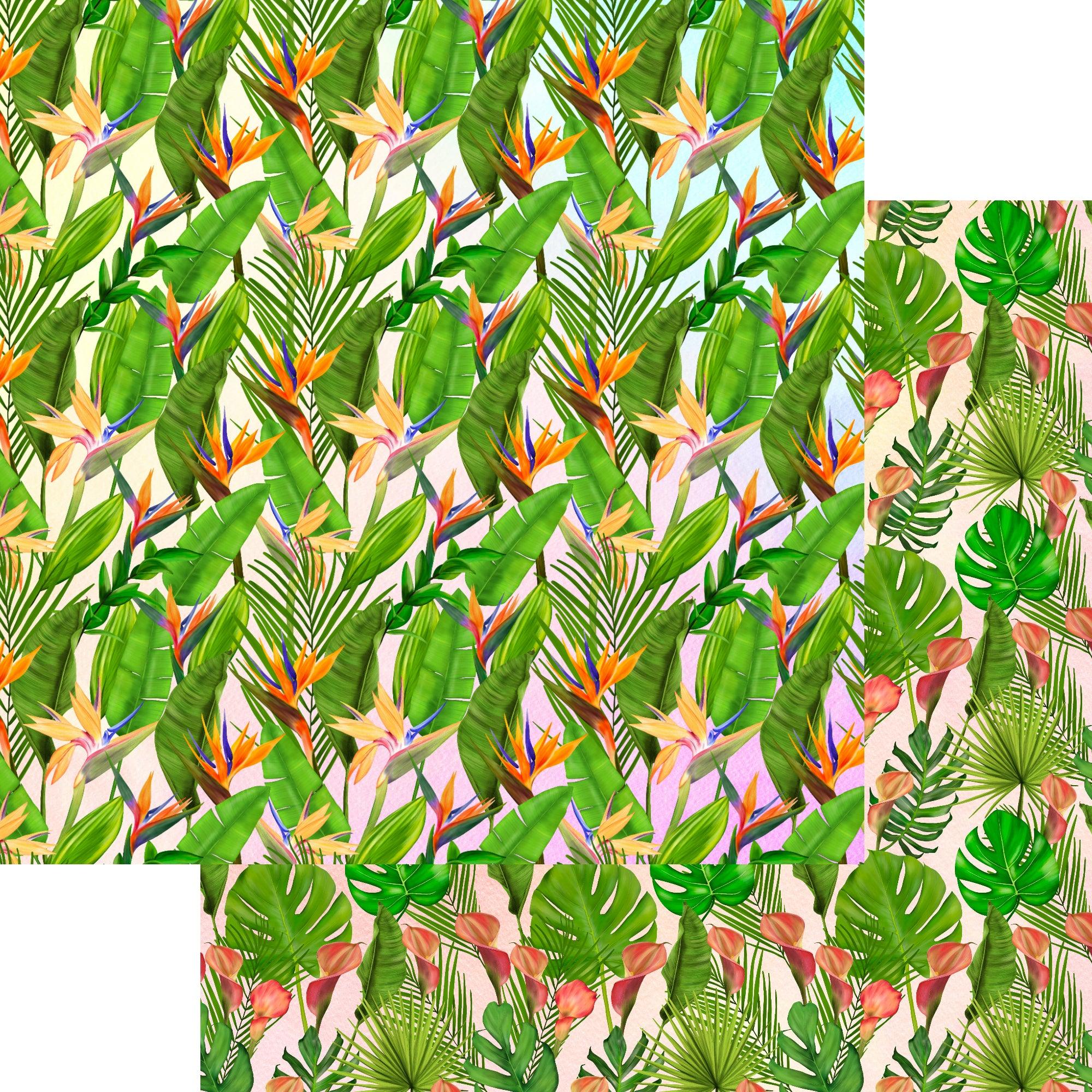 Exotic Tropics Collection Tranquility 12 x 12 Double-Sided Scrapbook Paper by SSC Designs