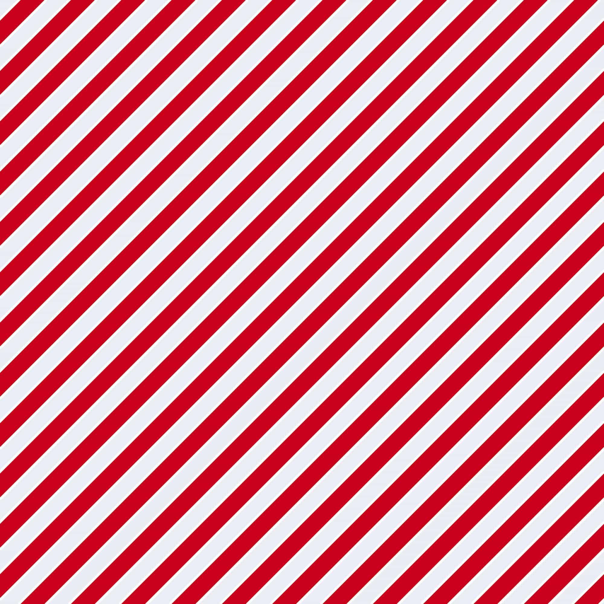 Peppermint Christmas Collection Poinsettias 12 x 12 Double-Sided Scrapbook Paper by SSC Designs - Scrapbook Supply Companies