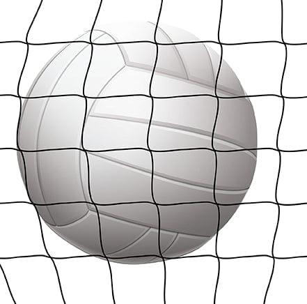 Volleyball Collection Volleyball 12 x 12 Double-Sided Scrapbook Paper by Echo Park Paper - Scrapbook Supply Companies