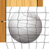 Volleyball Collection Volleyball 12 x 12 Double-Sided Scrapbook Paper by Echo Park Paper - Scrapbook Supply Companies