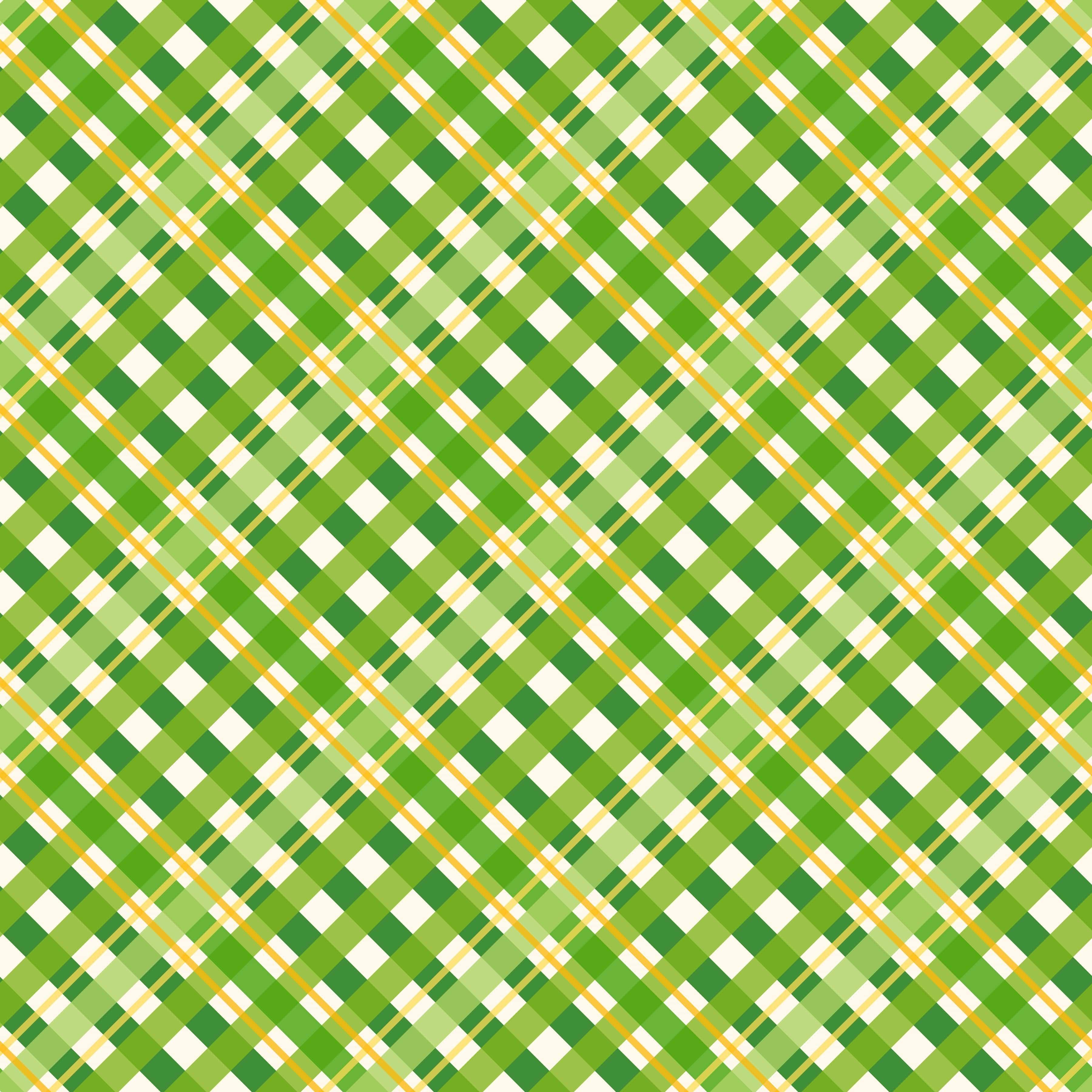 Lucky Irish Collection Lucky Shoes 12 x 12 Double-Sided Scrapbook Paper by SSC Designs - Scrapbook Supply Companies