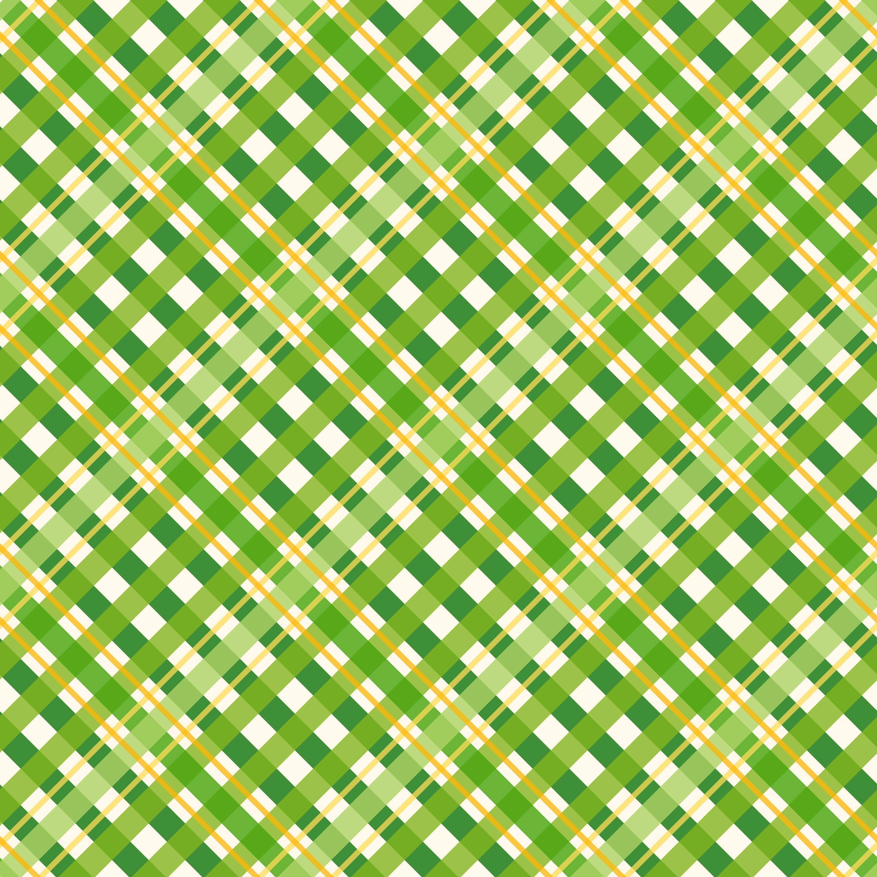 Lucky Irish Collection Lucky Shoes 12 x 12 Double-Sided Scrapbook Paper by SSC Designs - Scrapbook Supply Companies