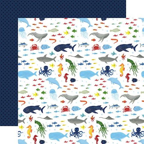 Under Sea Adventures Collection Wonders Of The Sea 12 x 12 Double-Sided Scrapbook Paper by Echo Park Paper - Scrapbook Supply Companies