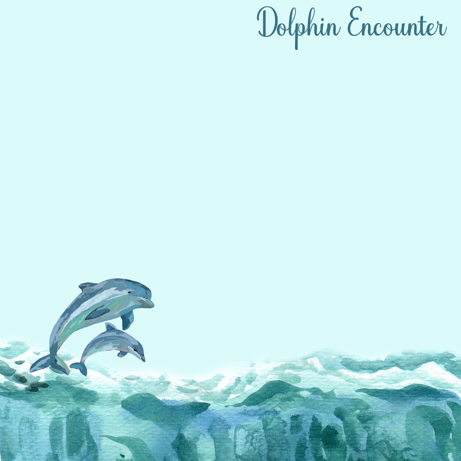 Underwater Collection Dolphin Encounter 12 x 12 Double-Sided Scrapbook Paper by SSC Designs - Scrapbook Supply Companies