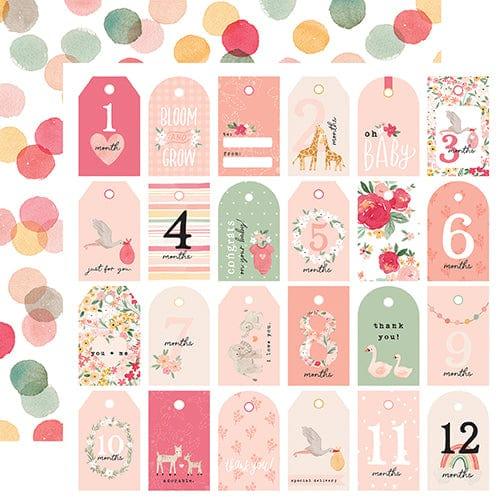 Welcome Baby Girl Collection Girl Tags 12 x 12 Double-Sided Scrapbook Paper by Echo Park Paper - Scrapbook Supply Companies