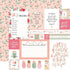 Welcome Baby Girl Collection Multi Journaling Cards 12 x 12 Double-Sided Scrapbook Paper by Echo Park Paper