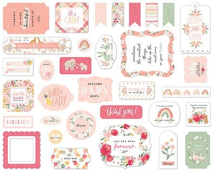 Welcome Baby Girl Collection 5 x 5 Ephemera Die Cut Scrapbook Embellishments by Echo Park Paper - Scrapbook Supply Companies