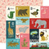 Animal Safari Collection A-L Animal Alphabet Cards 12 x 12 Double-Sided Scrapbook Paper by Echo Park Paper