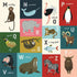 Animal Safari Collection M-Z Animal Alphabet Cards 12 x 12 Double-Sided Scrapbook Paper by Echo Park Paper - Scrapbook Supply Companies