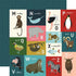 Animal Safari Collection M-Z Animal Alphabet Cards 12 x 12 Double-Sided Scrapbook Paper by Echo Park Paper
