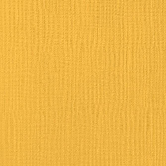 Dandelion 12 x 12 Textured Cardstock by American Crafts