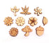 Woodies Collection Assorted Fall Wood Shapes by SSC Designs - Pkg. of 12 - Scrapbook Supply Companies