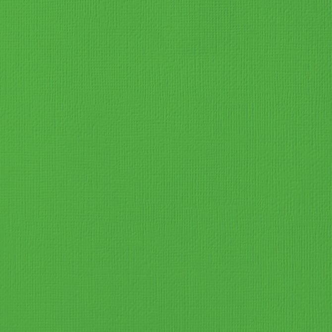 Grass 12 x 12 Textured Cardstock by American Crafts
