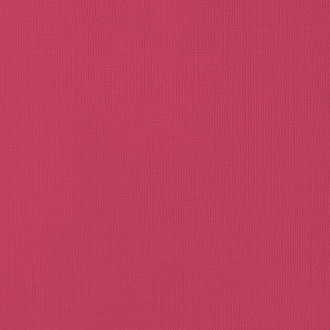 Ladybug 12 x 12 Textured Cardstock by American Crafts