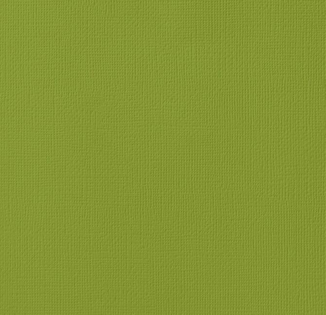 Leaf 12 x 12 Textured Cardstock by American Crafts