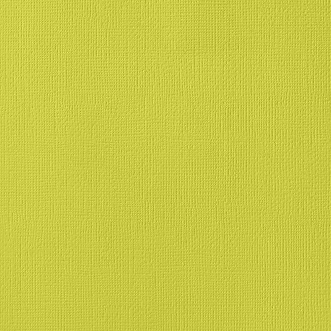 Limeade 12 x 12 Textured Cardstock by American Crafts - Scrapbook Supply Companies