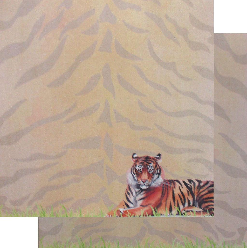 African Safari Collection Tiger 12 x 12 Double-Sided Scrapbook Paper by Scrapbook Customs - Scrapbook Supply Companies
