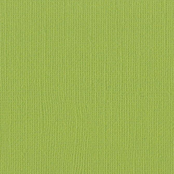 Parakeet 12 x 12 Textured Cardstock by Bazzill