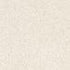 Petallics Bear Grass #10 Shimmer Envelopes by WorldWin Papers - Pkg. of 10 - Scrapbook Supply Companies