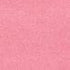 Petallics Coral Pink #10 Shimmer Envelopes by WorldWin Papers - Pkg. of 10 - Scrapbook Supply Companies