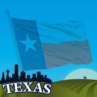 The State Line Collection Texas 12 x 12 Scrapbook Paper by Reminisce - Scrapbook Supply Companies