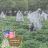 National Park Collection Washington D.C. Veterans Memorial Korean War 12 x 12 Double-Sided Scrapbook Paper by Scrapbook Customs - Scrapbook Supply Companies