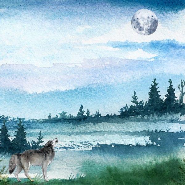 Watercolor Collection Wolf 12 x 12 Double-Sided Scrapbook Paper by Scrapbook Customs - Scrapbook Supply Companies