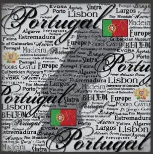Scratchy Collection Portugal 12 x 12 Scrapbook Paper by Scrapbook Customs - Scrapbook Supply Companies